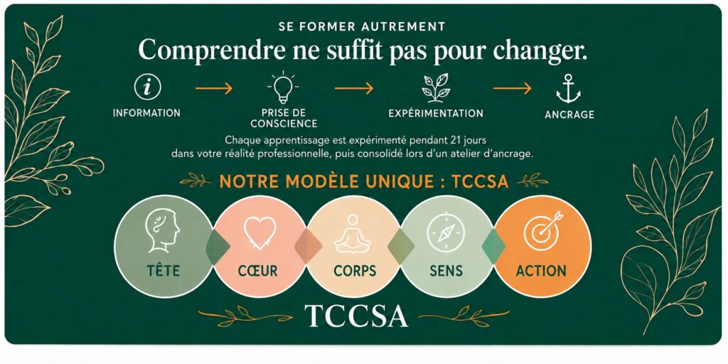 Modèle unique : TCCSA